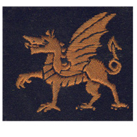 A picture of a cloth badge